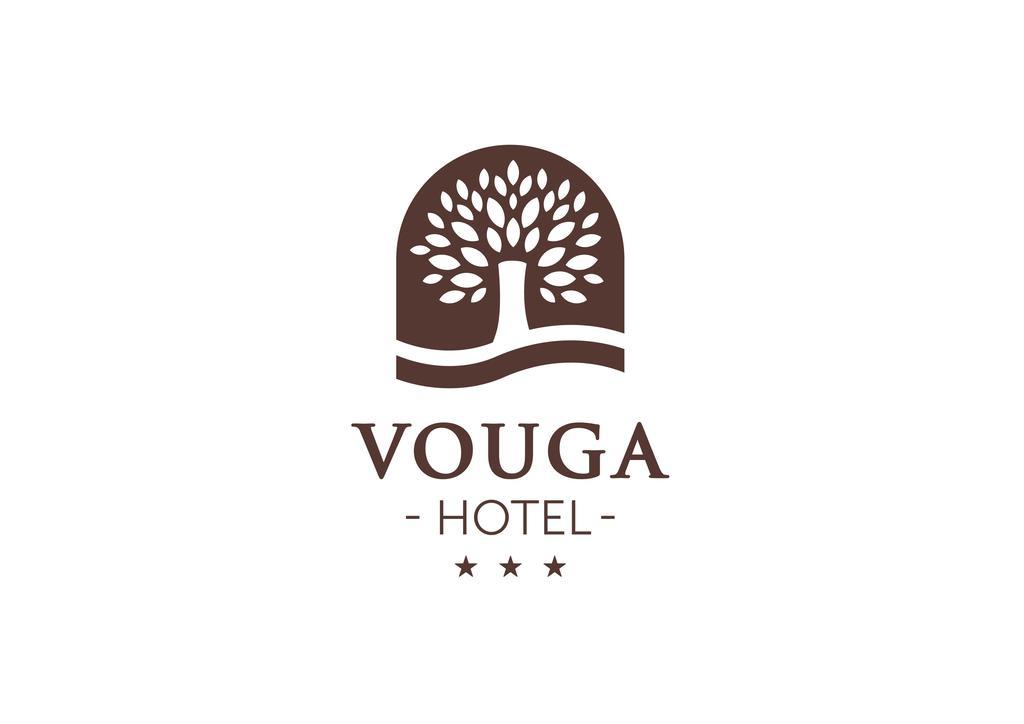 Hotel Vouga Termas de Sao Pedro do Sul Zewnętrze zdjęcie